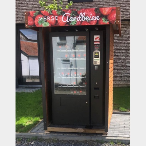 Fruit vending machine